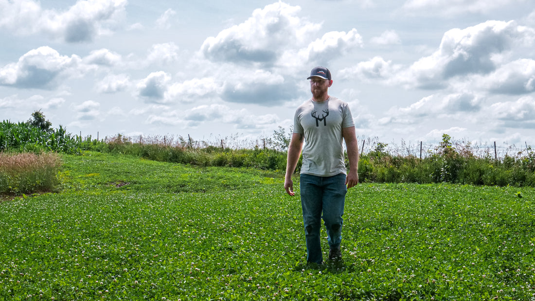 Planting A Clover Plot