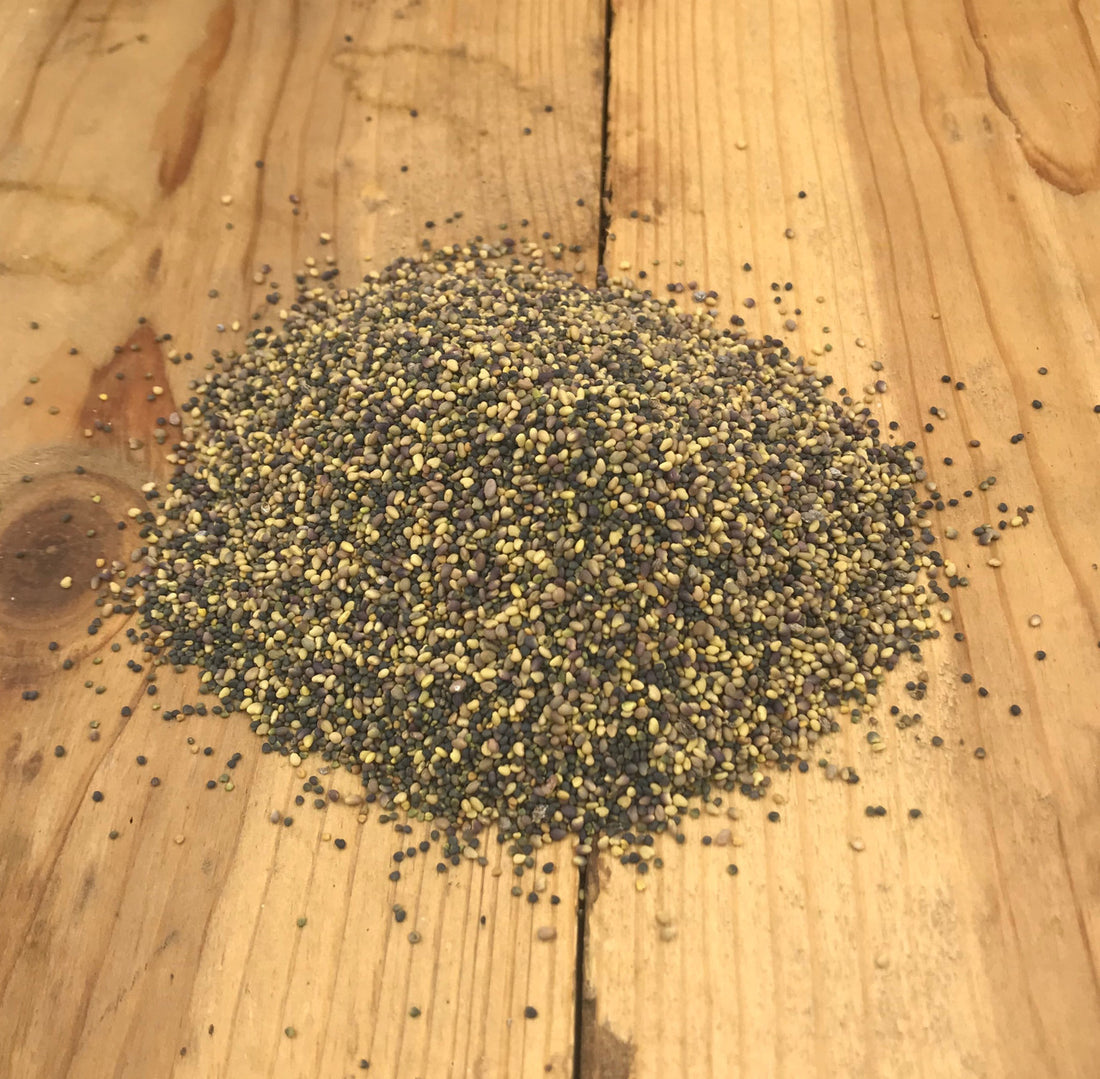 Clover Mix Food Plot Seed