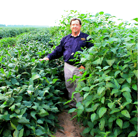Large Lad RR Soybean Seed | Eagle Seed