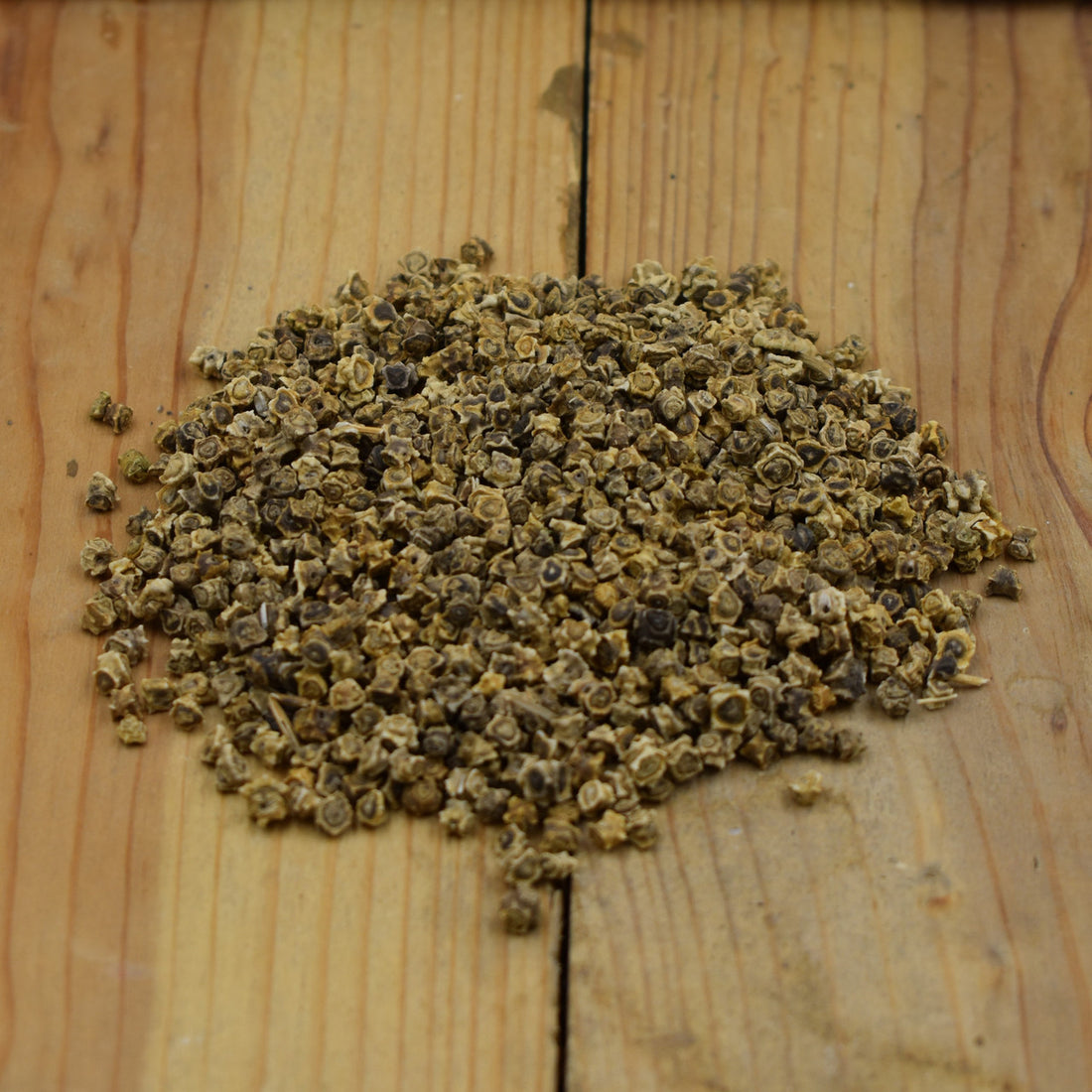 Sugar Beet Food Plot Seed (Not Round-up Ready)