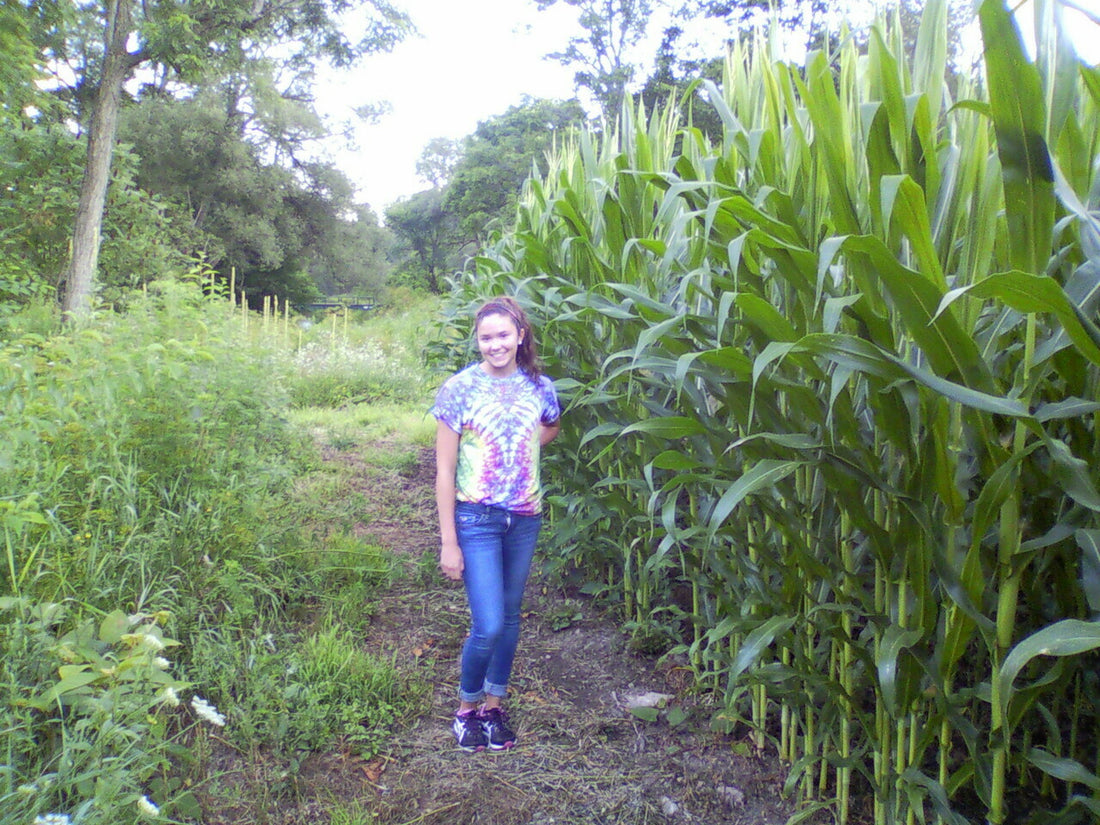 Glyphosate Tolerant Wildlife Seed Corn