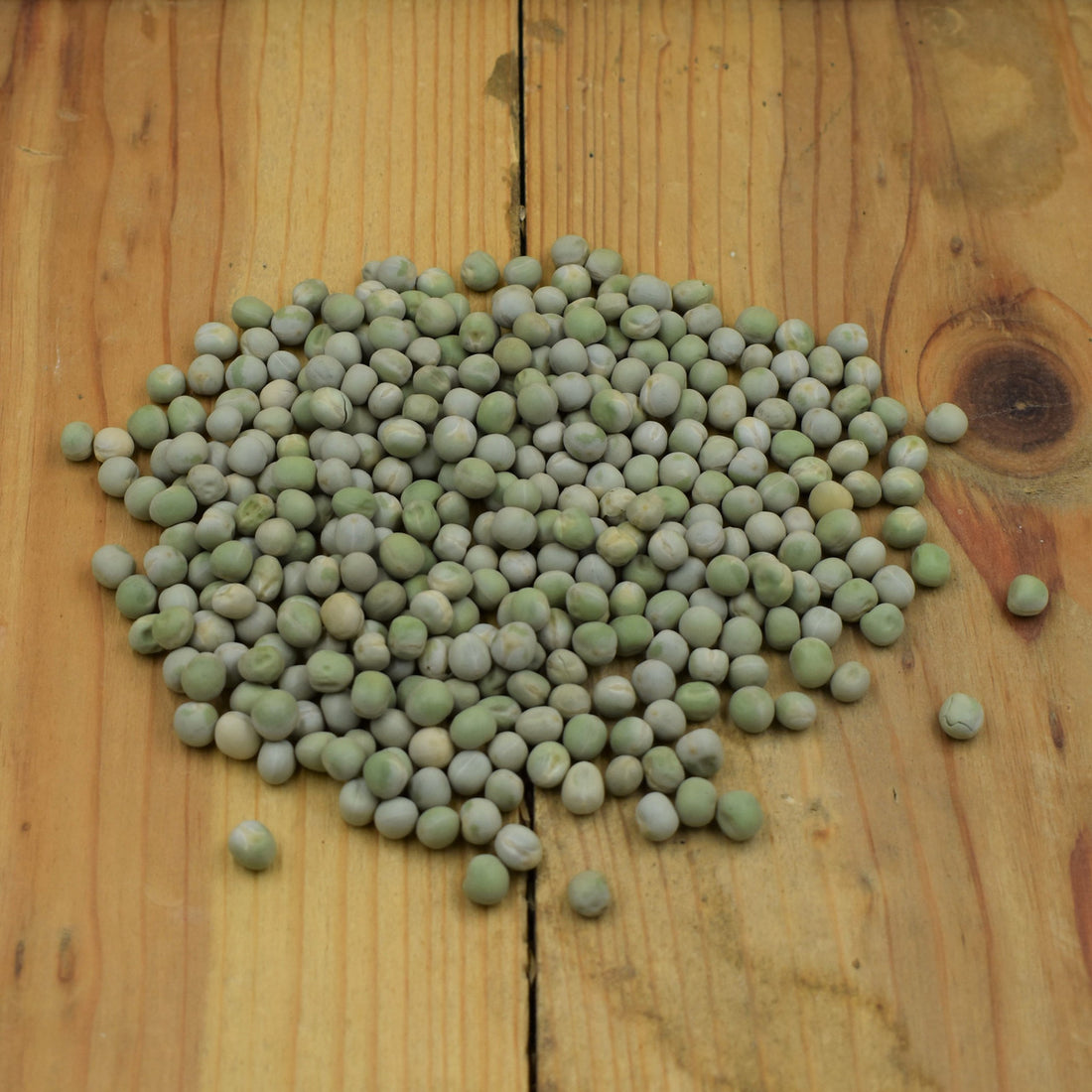 Winter Pea Food Plot Seed