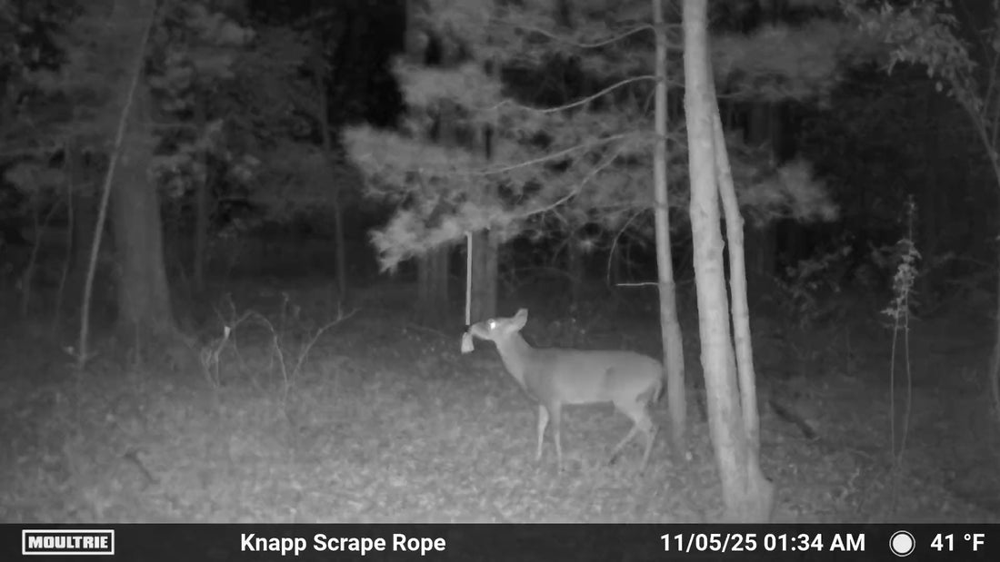 Mock Scrape Rope